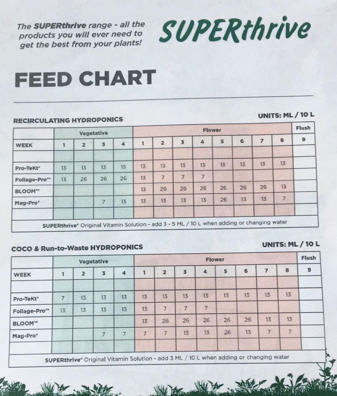 Superthrive Blüte