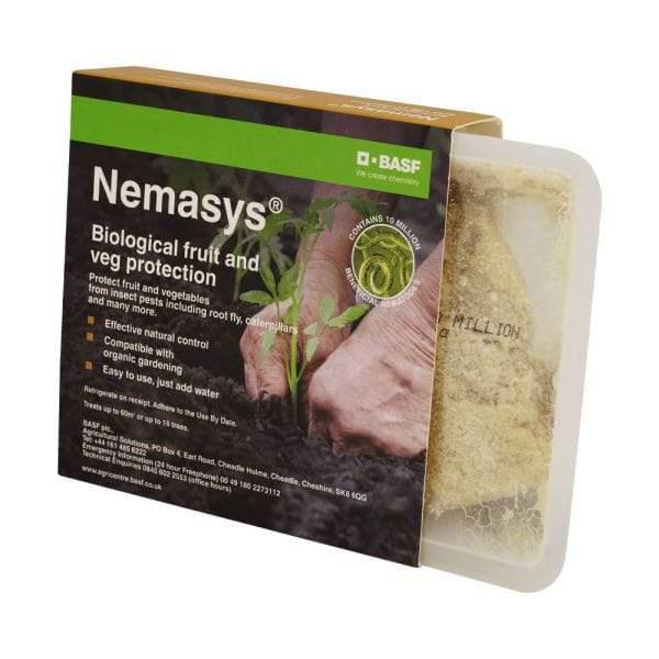 Nematoden