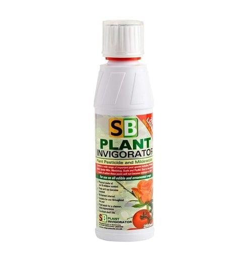SB Belebungsverstärker