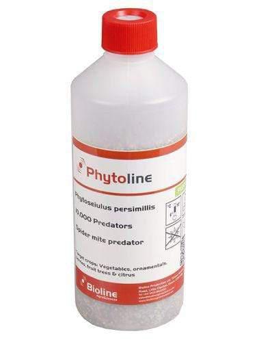 Phytoline - Spinnmilben-Räuber