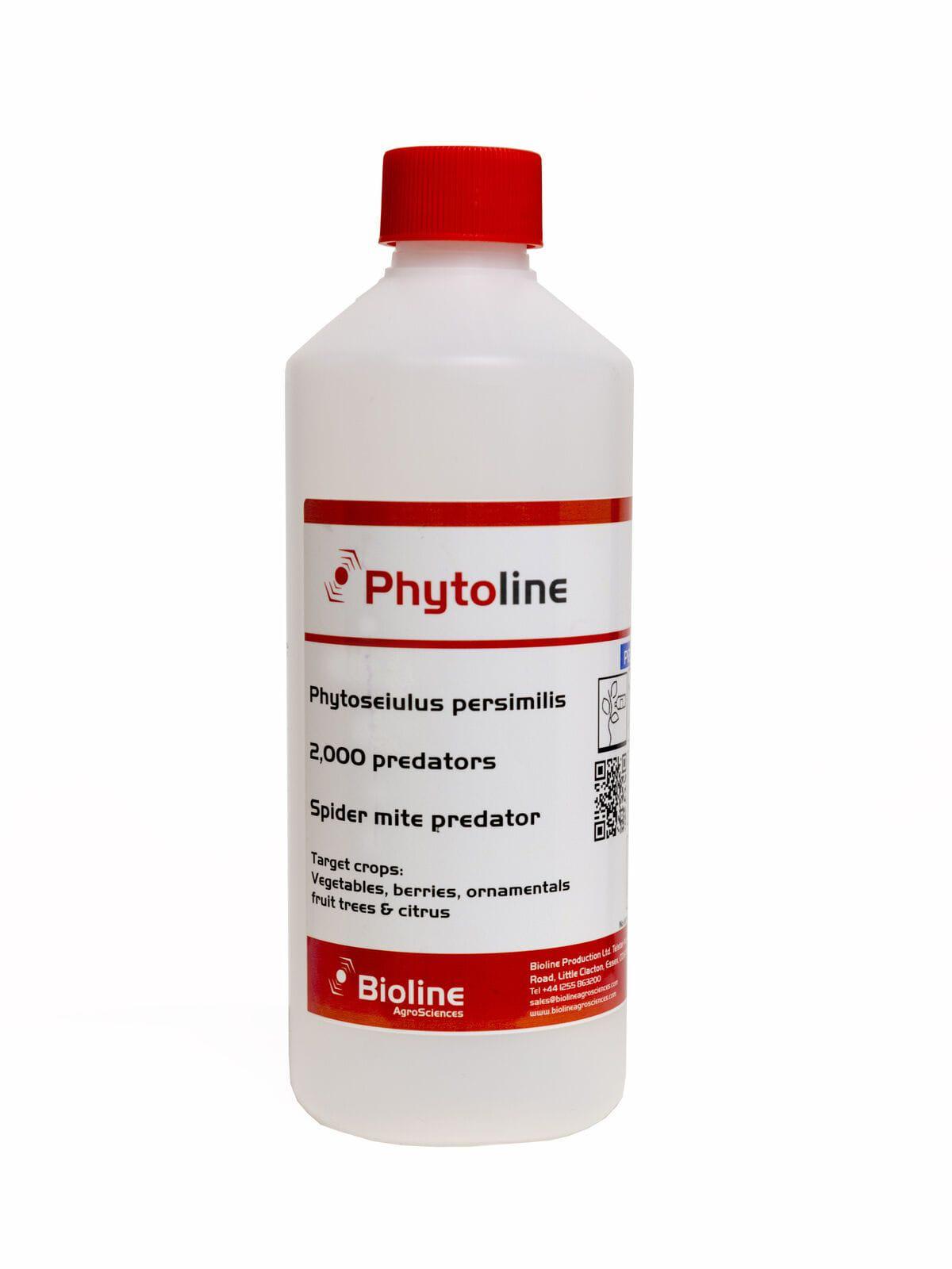 Phytoline - Spinnmilben-Räuber