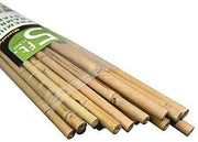5' Bambusstangen (150cm) - Packung mit 25