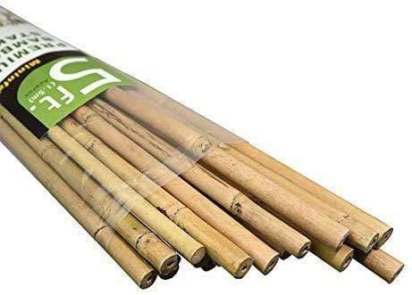 5' Bambusstangen (150cm) - Packung mit 25