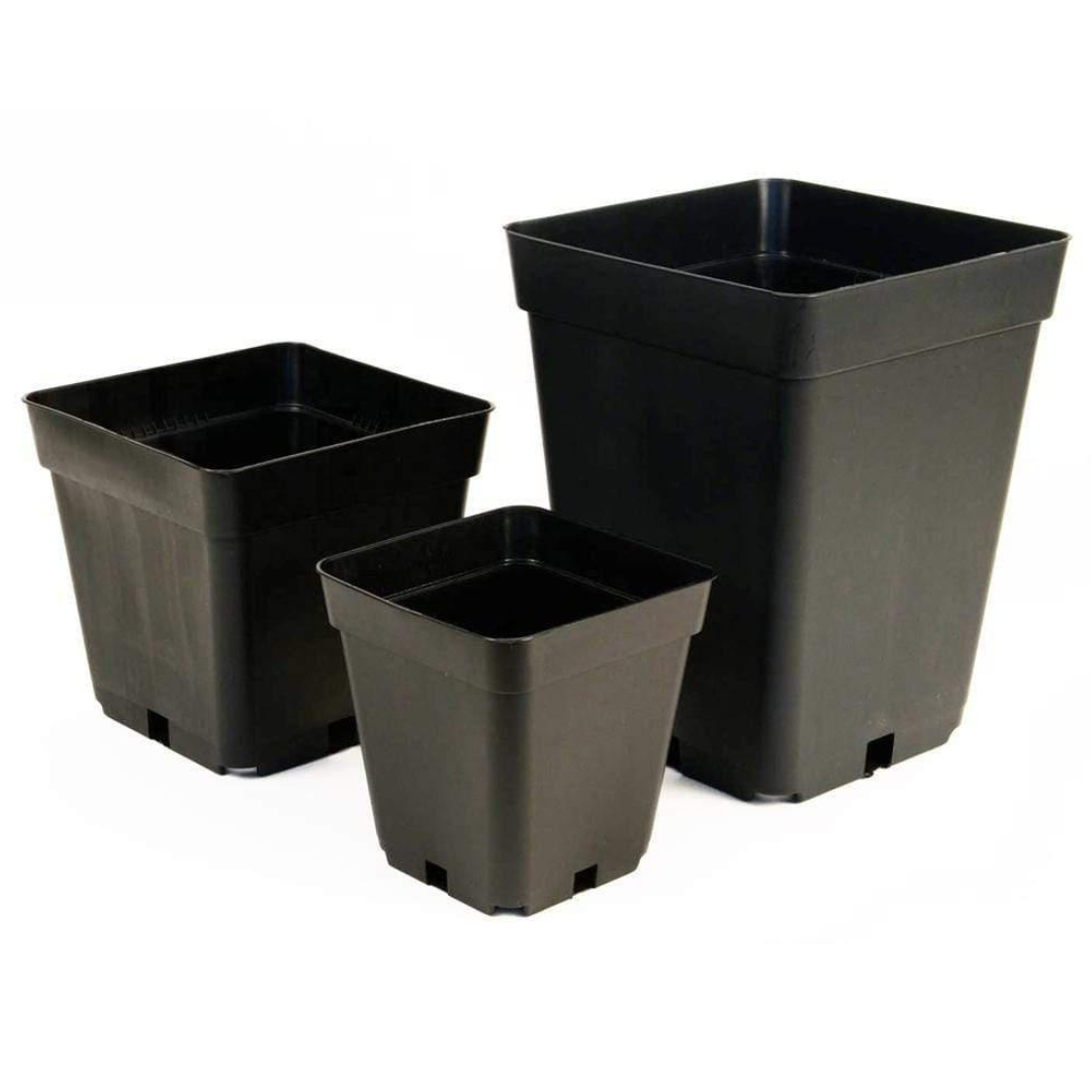 Quadratische Plastiktopf