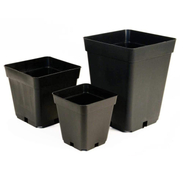Quadratische Plastiktopf