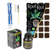 Vermehrung Klonierung Kit