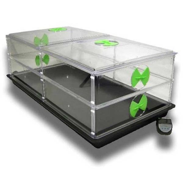 Vitopod Große Anzuchtbox