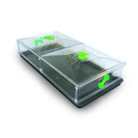 Vitopod Große Anzuchtbox