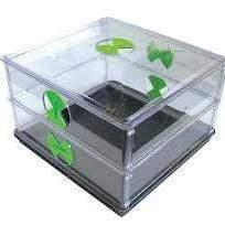 Vitopod Kleine Anzuchtanlage