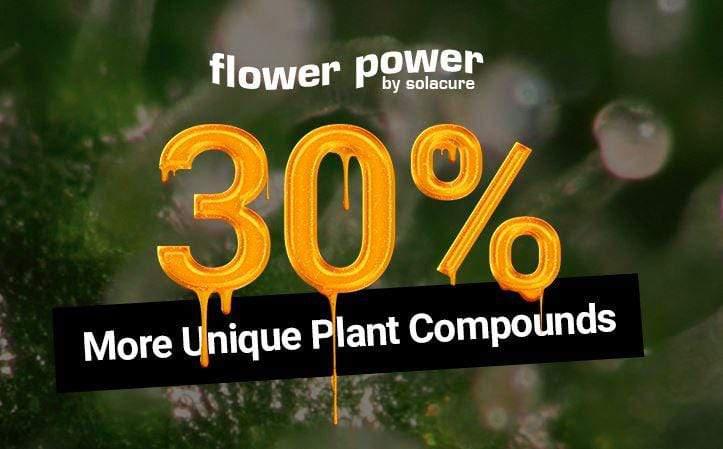 Solacure Flower Power UVB Komplettzüchtungslicht - 1,2 m Dual-Kit